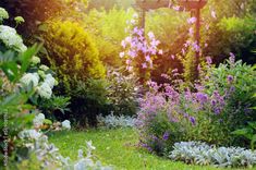 the garden is full of colorful flowers and greenery, while the sun shines through the trees