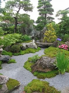 a garden with rocks and plants in it