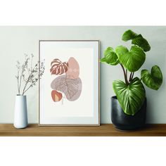 some plants are sitting on a shelf next to a framed print