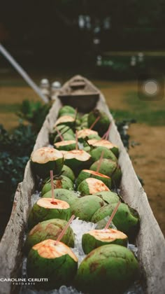 coconuts are lined up in an old boat