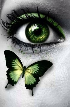 a woman's eye with green and white butterflies on her eyelashes, as if in the form of a butterfly