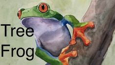 a watercolor painting of a frog on a tree branch with the words, tree frog