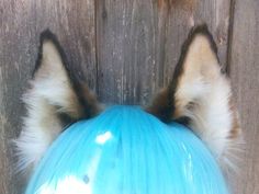 Wolf Ears Cosplay, Kitten Space, Wolf Ears And Tail, Woods Ideas, Ears Cosplay, Wolf Costume, Wolf Ears, Pet Play, Pet Spaces