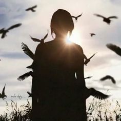 the silhouette of a woman surrounded by birds