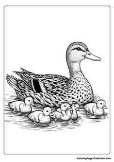 Duck Coloring Pages Duck Coloring Pages, Bird Drawings, Animal Clipart, Animal Coloring Pages, Pen Drawing, Art Drawings Sketches, Adult Coloring Books, Playful Design, Coloring Pages For Kids