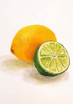 a drawing of two lemons with one cut in half