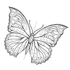 a black and white drawing of a butterfly with dots on it's wings, flying