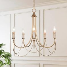 a chandelier hanging from the ceiling in a room with white walls and a potted plant