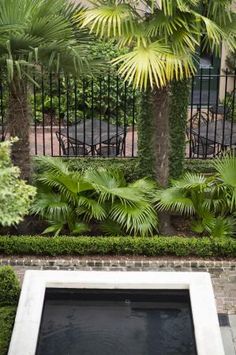 an outdoor pool surrounded by trees and bushes