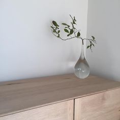 a vase with some green leaves in it on top of a wooden dresser next to a white wall