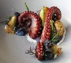 an octopus dish is served on a white plate with fruit garnishes and sprouts