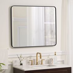 a bathroom sink with a mirror above it and a plant on the counter next to it