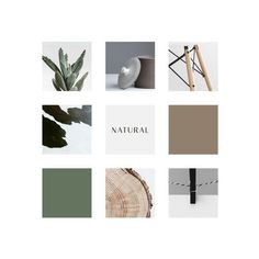 an assortment of different types of furniture and accessories with the words natural written in white