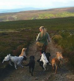 a woman is walking her dogs on a trail