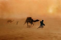 a man is walking with two camels in the desert while another person walks behind him