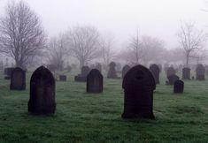 a foggy graveyard with headstones in the foreground and trees in the background