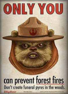 a star wars propaganda poster with an angry chewr wearing a fireman's hat