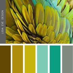 the color palette is green, yellow and blue