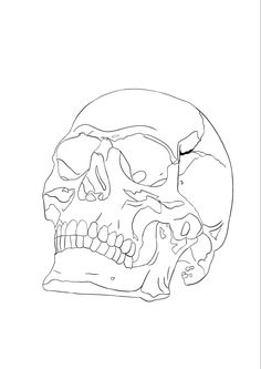 a black and white drawing of a skull