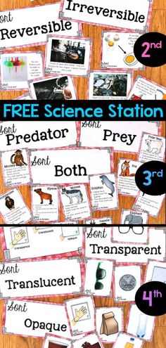 four different types of science stations for students to use in their homes and classroom classrooms