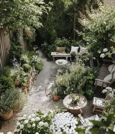 an outdoor garden with lots of plants and furniture