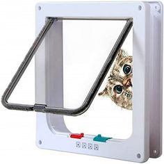 an owl looking through the window of a cat door