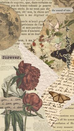 altered collage with flowers, butterflies and words on it's paper sheeting