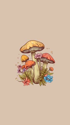 mushrooms and flowers on a beige background