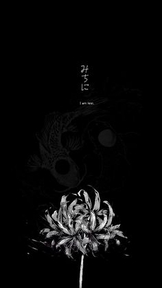 a black and white photo of a flower with chinese characters in the background on a dark background