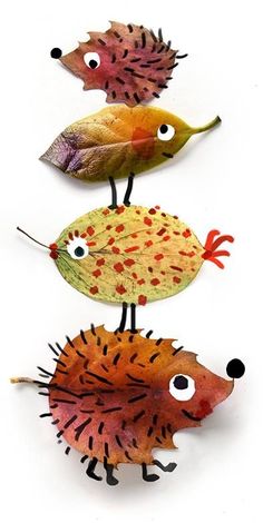 three different types of sea animals on top of each other, one is orange and the other is red