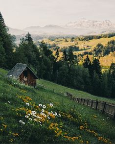 a small cabin in the middle of a field with wildflowers and mountains in the background