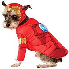 a small dog dressed in a red and gold costume with horns on it's head