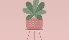 a potted plant sitting on top of a metal stand next to a pink wall