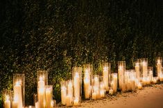 many lit candles are lined up in front of a hedge