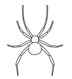 Spider Legs Drawing, Black House Spider, Giant House Spider, Black Widow Drawing, Spider Coloring Pages, Spider Printable, Hobo Spider, Polymer Clay Steampunk, Leg Anatomy