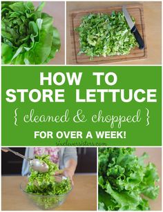 how to store lettuce, cleaned and chopped for over a week - click here