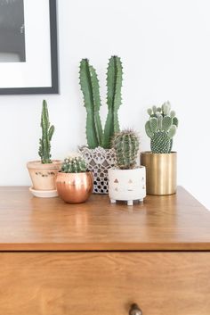 three different types of cacti in pots on top of a wooden dresser next to a framed photograph