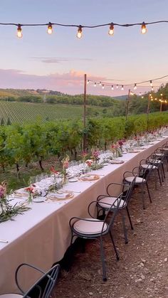 a long table is set up for an outdoor dinner in the middle of a vineyard