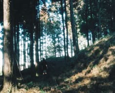 a person standing in the middle of a wooded area next to a hill with trees on it