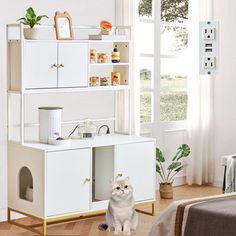 a cat sitting on the floor in front of a white cabinet with drawers and shelves