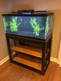 a fish tank sitting on top of a wooden floor next to a shelf filled with plants