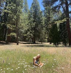 a man sitting in the middle of a field surrounded by tall grass and pine trees