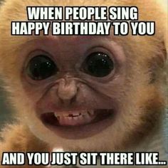 a monkey with the caption when people sing happy birthday to you and you just sit there like