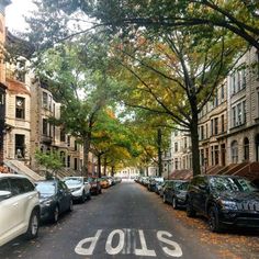 cars parked on the side of a street next to tall buildings and trees with leaves all over them