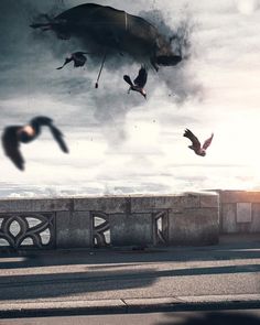 birds are flying in the air over a bridge