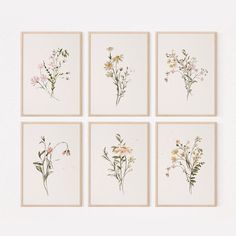 four framed floral prints on white paper with pink and yellow flowers in the middle, each featuring different types of wildflowers