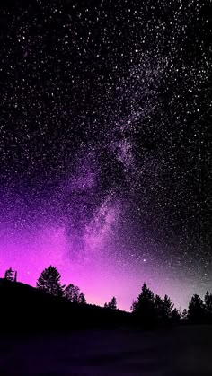 the night sky is filled with stars and purple hues as well as silhouettes of trees