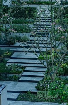 an outdoor garden with steps leading up to it