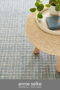 a table with a plant on top of it in front of a blue carpeted floor