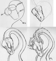 three different drawings of an animal's head